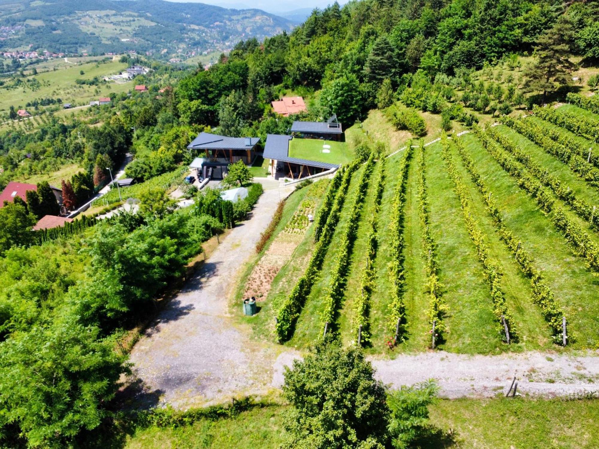 Apartment Hedona Vineyard